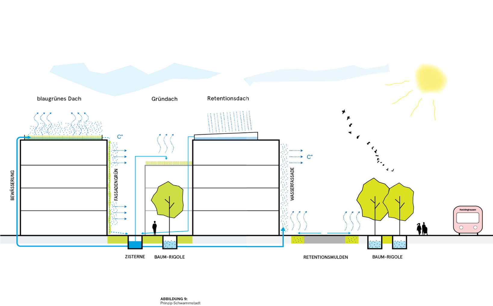 Prinzip Schwammstadt