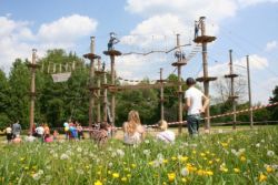 Bild vom Hochseilgarten